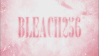 Bleach 1x256