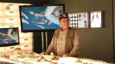 Bones 8x20