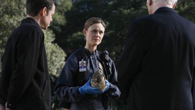 Bones 2x17