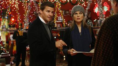 Bones 3x9