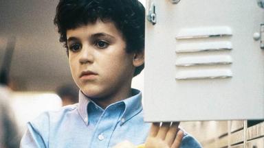 Los años maravillosos 1x1